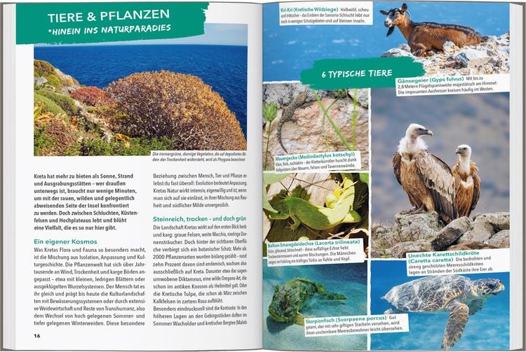 Produktbild: Marco Polo Outdoor Guide Reisef&uuml;hrer Kreta