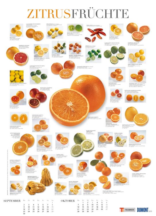 Produktbild: Food, Poster-Kalender 2013