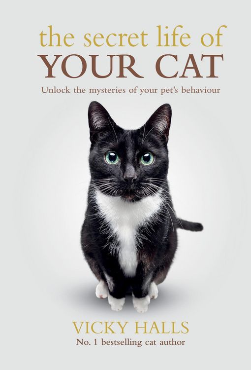 Produktbild: Halls, V: Secret Life Of Your Cat