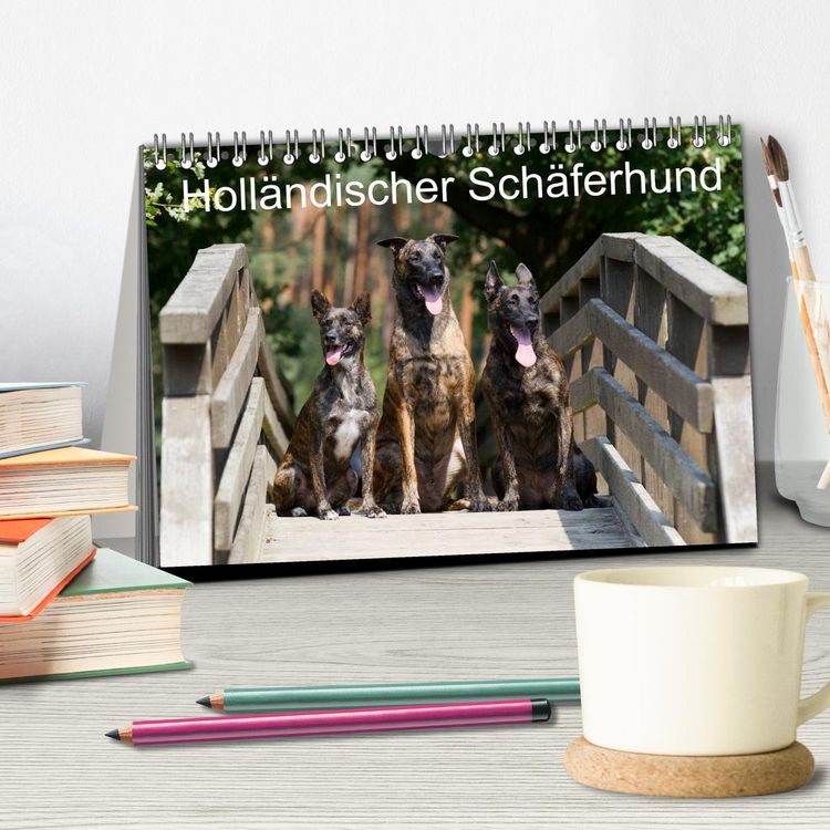 Produktbild: Holl&auml;ndischer Sch&auml;ferhund (Tischkalender 2026 DIN A5 quer), CALVENDO Monatskalender
