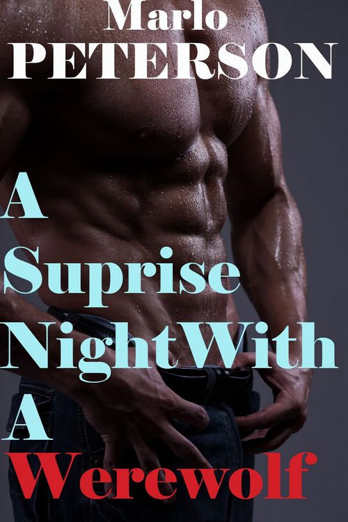 Produktbild: A Surprise Night with a Werewolf