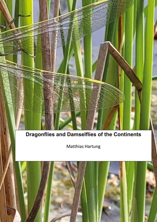 Produktbild: Dragonflies and Damselflies of the Continents