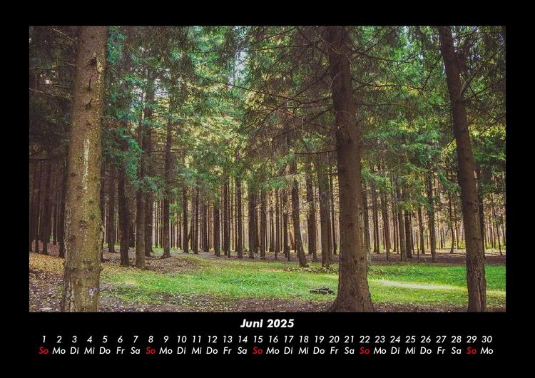 Produktbild: Waldzauber 2025 Fotokalender DIN A3