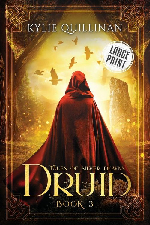 Produktbild: Druid (Large Print Version)