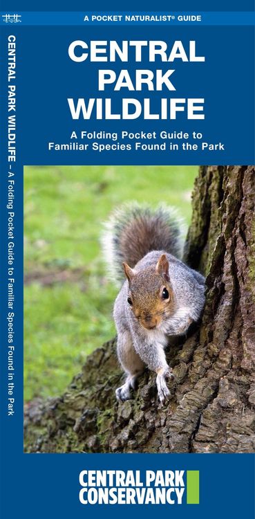 Produktbild: Central Park Wildlife, 2nd Ed