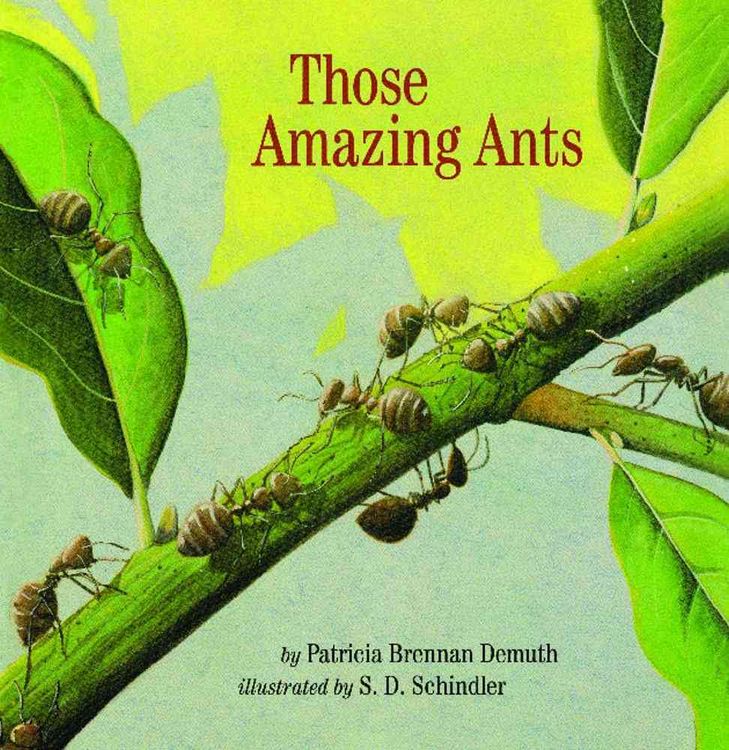 Produktbild: Those Amazing Ants