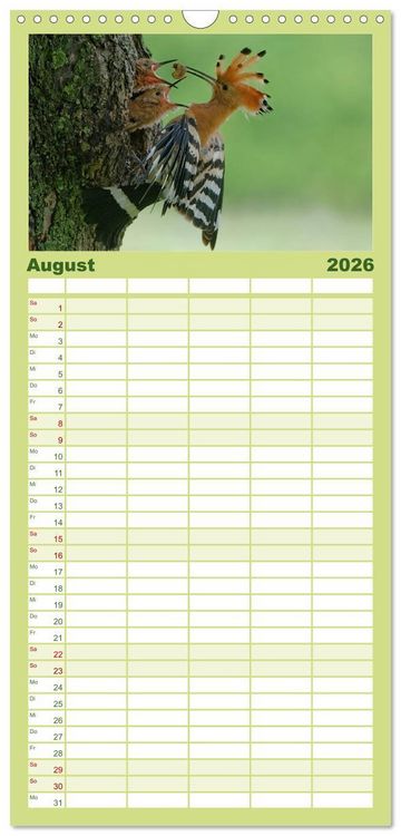 Produktbild: Familienplaner 2026 - Wiedehopf mit 5 Spalten (Wandkalender, 21 x 45 cm) CALVENDO