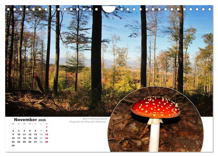 Produktbild: Der Grimmsteig (Wandkalender 2026 DIN A4 quer), CALVENDO Monatskalender