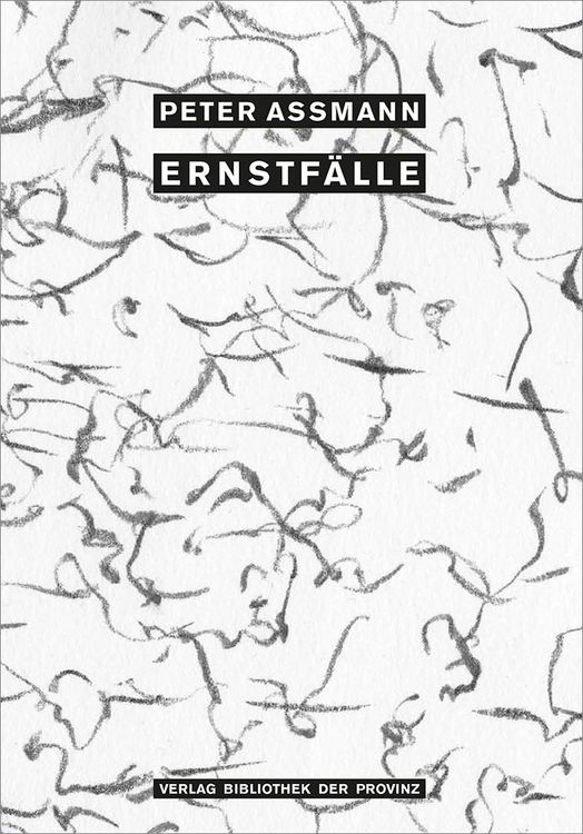 Produktbild: Peter Assmann &ndash; Ernstf&auml;lle