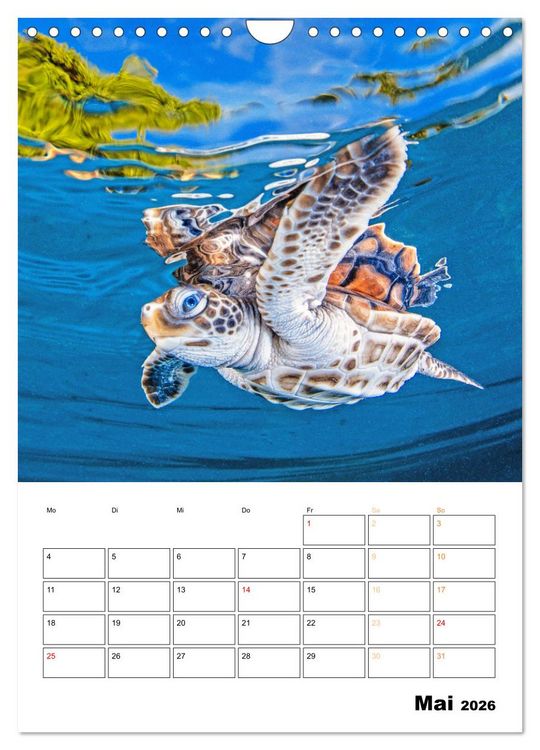 Produktbild: Wunderbare Wasserwelt der Meeresschildkr&ouml;ten (Wandkalender 2026 DIN A4 hoch), CALVENDO Monatskalender