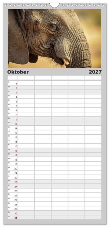 Produktbild: Familienplaner 2027 - Die Augen der Wildnis mit 5 Spalten (Wandkalender, 21 x 45 cm) CALVENDO