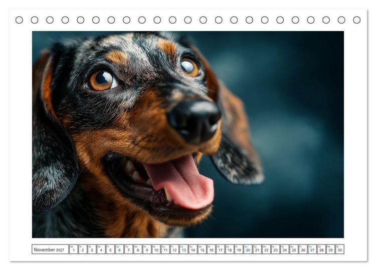 Produktbild: Kleine Beine, gro&szlig;es Gl&uuml;ck (Tischkalender 2027 DIN A5 quer), CALVENDO Monatskalender