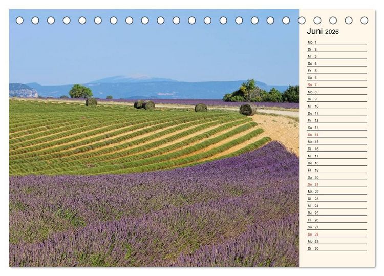 Produktbild: Lavendel (Tischkalender 2026 DIN A5 quer), CALVENDO Monatskalender