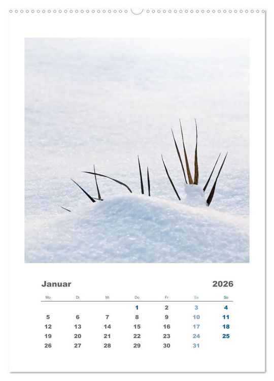 Produktbild: Minimalistisch, Gr&auml;ser, Bl&uuml;ten, Bl&auml;tter und Zweige im Fokus (hochwertiger Premium Wandkalender 2026 DIN A2 hoch), Kunstdruck in Hochglanz