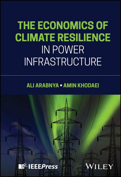 Produktbild: The Economics of Climate Resilience in Power Infrastructure