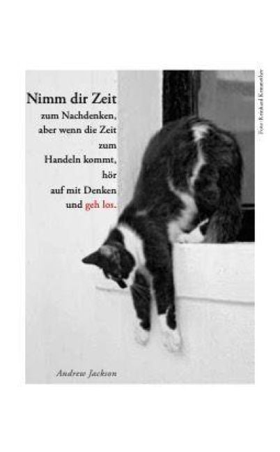 Produktbild: Katzen Taschenkalender 2027