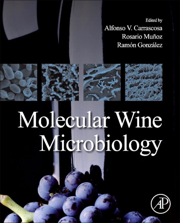 Produktbild: Molecular Wine Microbiology