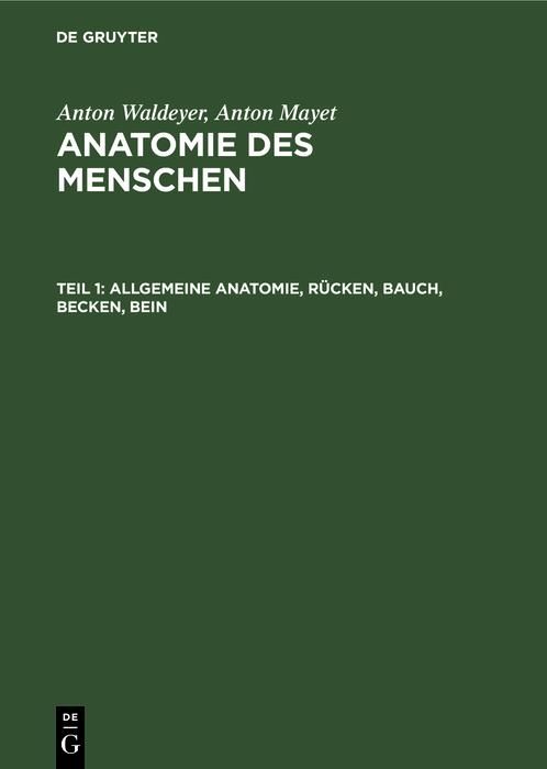 Produktbild: Allgemeine Anatomie, R&uuml;cken, Bauch, Becken, Bein