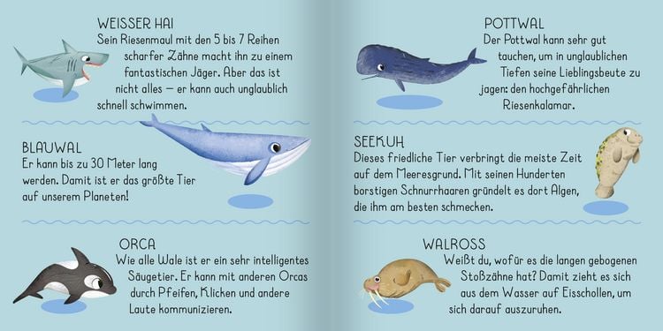 Produktbild: Meine erste Puzzle-Box. Der Ozean