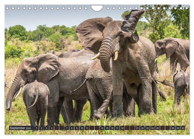 Produktbild: Uganda - im Herzen von Afrika (Wandkalender 2026 DIN A4 quer), CALVENDO Monatskalender