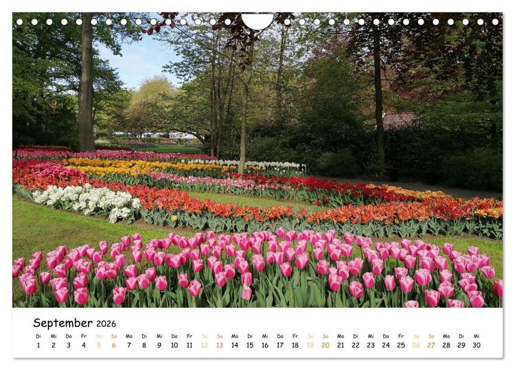Produktbild: Auf Tour im Land der Tulpen (Wandkalender 2026 DIN A4 quer), CALVENDO Monatskalender