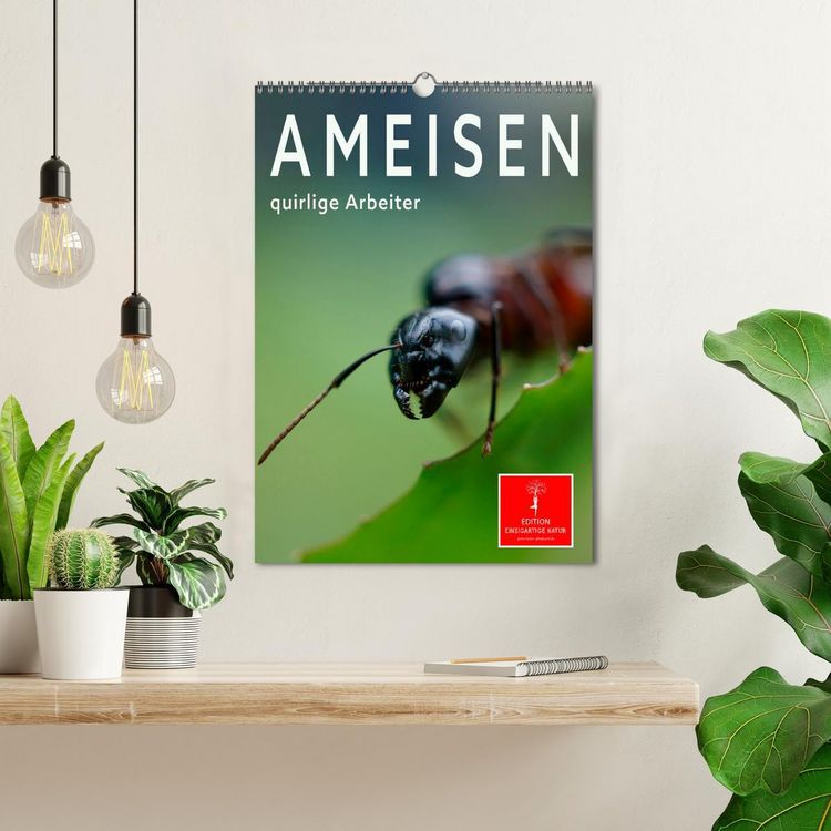 Produktbild: Ameisen quirlige Arbeiter (Wandkalender 2026 DIN A3 hoch), CALVENDO Monatskalender