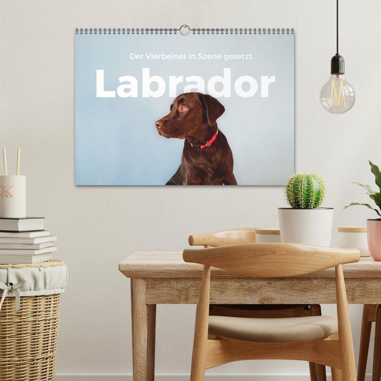 Produktbild: Labrador - Der Vierbeiner in Szene gesetzt. (Wandkalender 2026 DIN A3 quer), CALVENDO Monatskalender