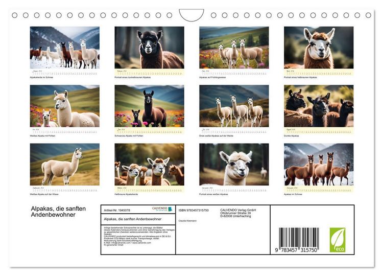 Produktbild: Alpakas, die sanften Andenbewohner (Wandkalender 2026 DIN A4 quer), CALVENDO Monatskalender