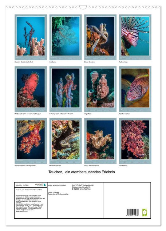 Produktbild: Tauchen, ein atemberaubendes Erlebnis (Wandkalender 2026 DIN A2 hoch), CALVENDO Monatskalender