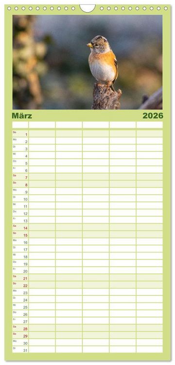 Produktbild: Familienplaner 2026 - Der Kernbei&szlig;er und seine gefiederten Gesellen mit 5 Spalten (Wandkalender, 21 x 45 cm) CALVENDO