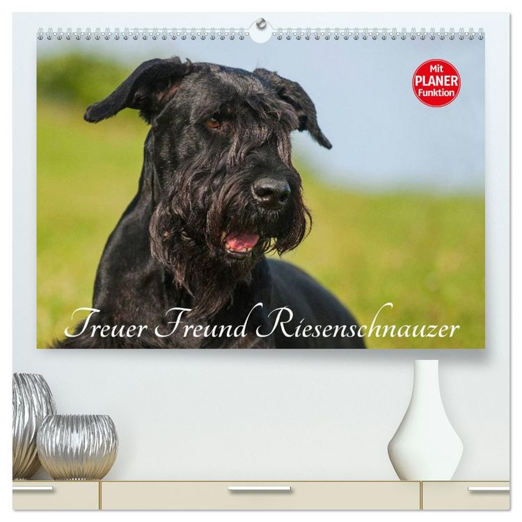 Produktbild: Treuer Freund Riesenschnauzer (hochwertiger Premium Wandkalender 2026 DIN A2 quer), Kunstdruck in Hochglanz