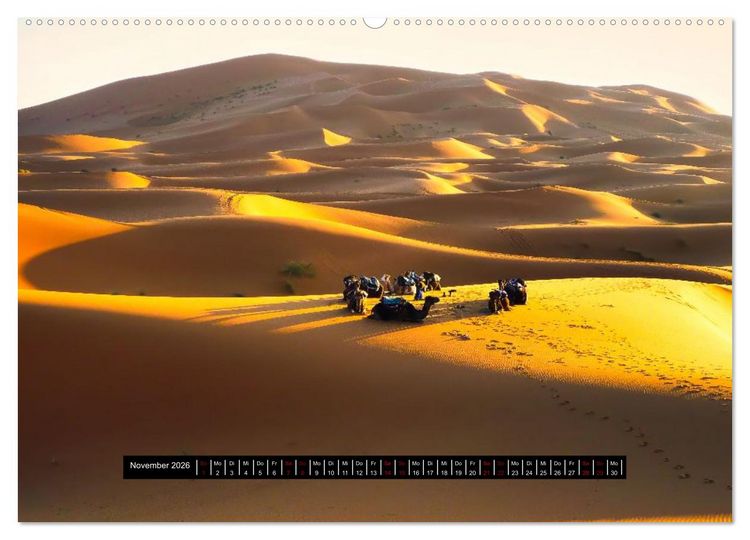 Produktbild: Afrika - Vielfalt in Flora und Fauna (Wandkalender 2026 DIN A2 quer), CALVENDO Monatskalender