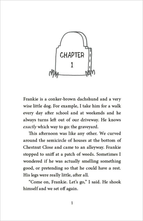 Produktbild: The Magpie Riddle: a Goldfish Boy Mystery