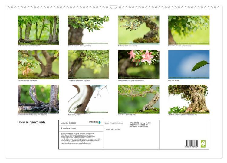 Produktbild: Bonsai ganz nah (Wandkalender 2027 DIN A2 quer), CALVENDO Monatskalender