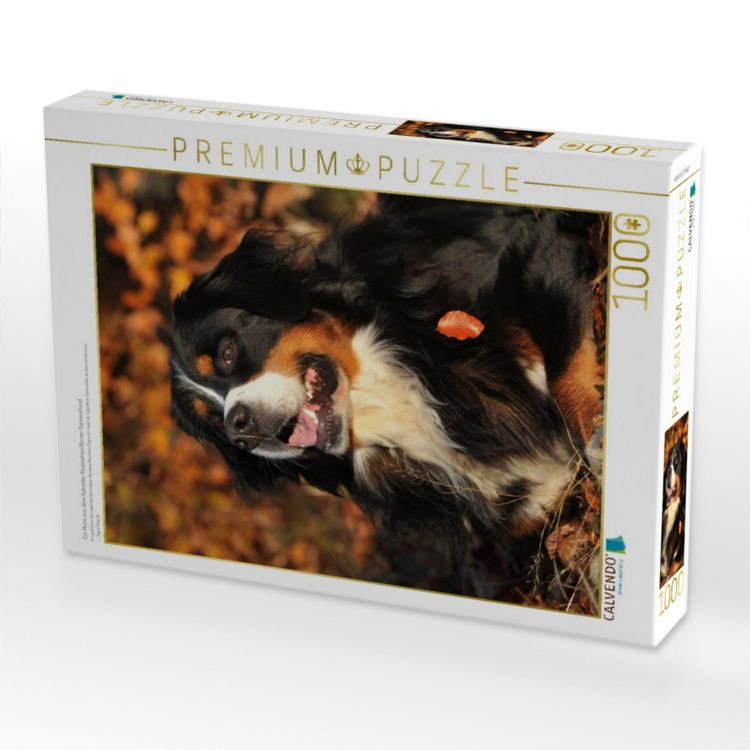 Produktbild: CALVENDO Puzzle Ein Motiv aus dem Kalender Faszination Berner Sennenhund | 1000 Teile Lege-Gr&ouml;&szlig;e 64x48cm Foto-Puzzle f&uuml;r gl&uuml;ckliche Stunden