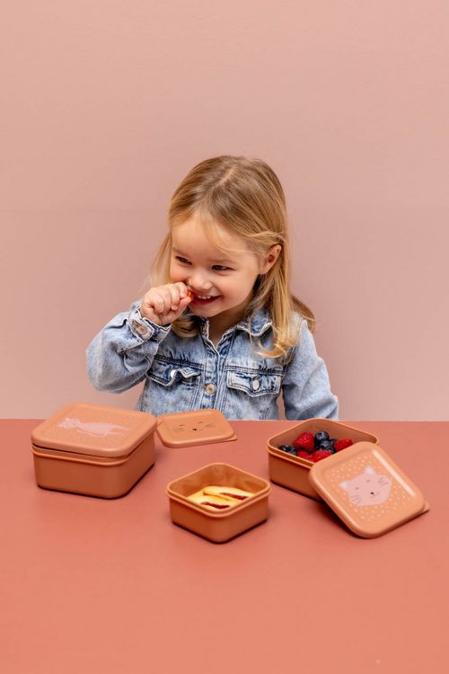 Produktbild: Snackbox - 3er-Set - Mrs. Cat