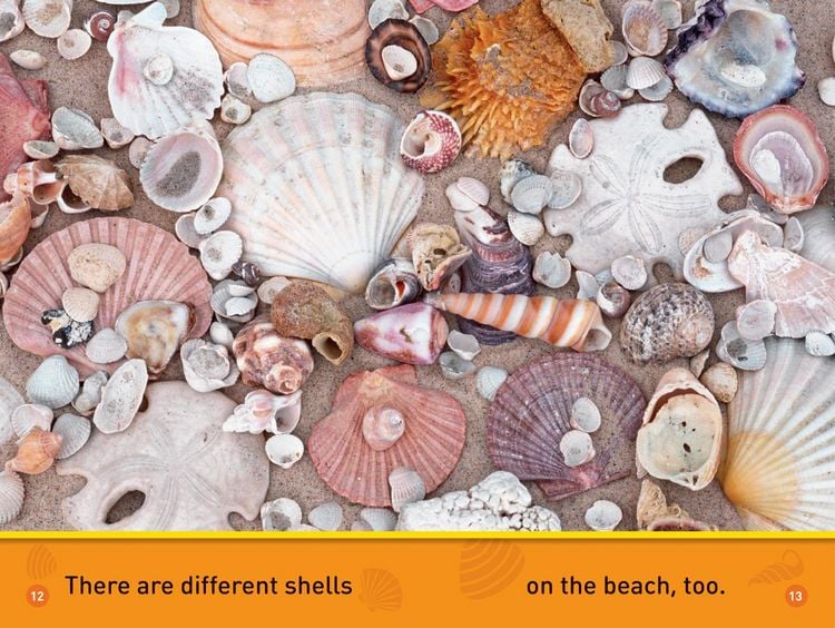 Produktbild: At the Beach (National Geographic Kids Readers, Pre-Reader)