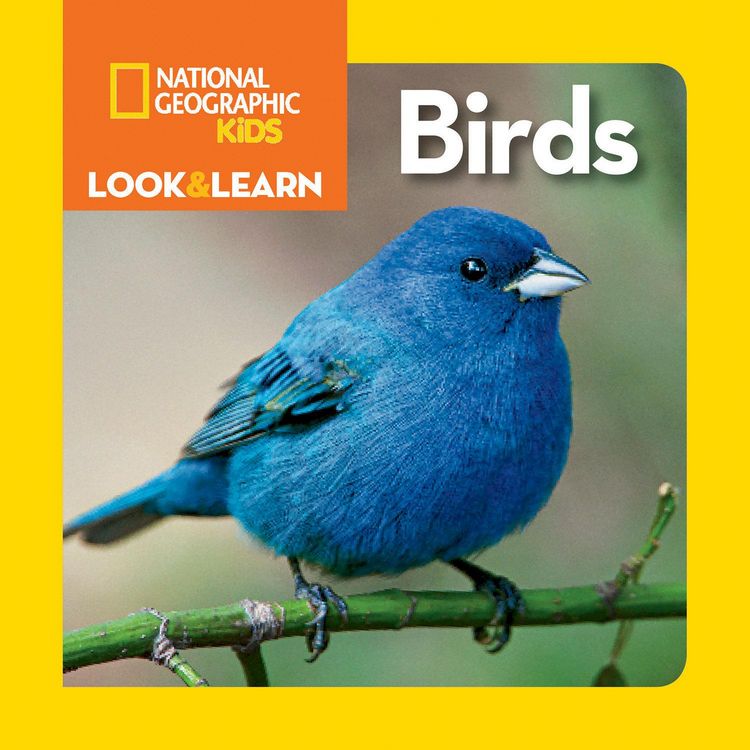 Produktbild: National Geographic Kids Look & Learn: Birds