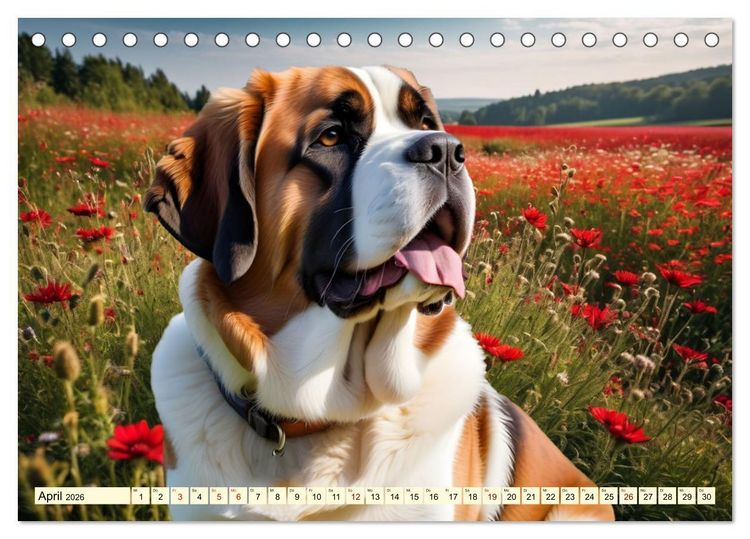 Produktbild: Molosser - Gigantischer Kuschelfaktor (Tischkalender 2026 DIN A5 quer), CALVENDO Monatskalender