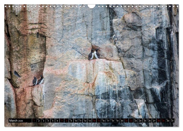Produktbild: Impressions of Svalbard (Wall Calendar 2026 DIN A3 landscape), CALVENDO 12 Month Wall Calendar