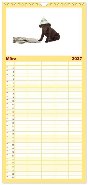 Produktbild: Familienplaner 2027 - Labrador - Welpen mit 5 Spalten (Wandkalender, 21 x 45 cm) CALVENDO