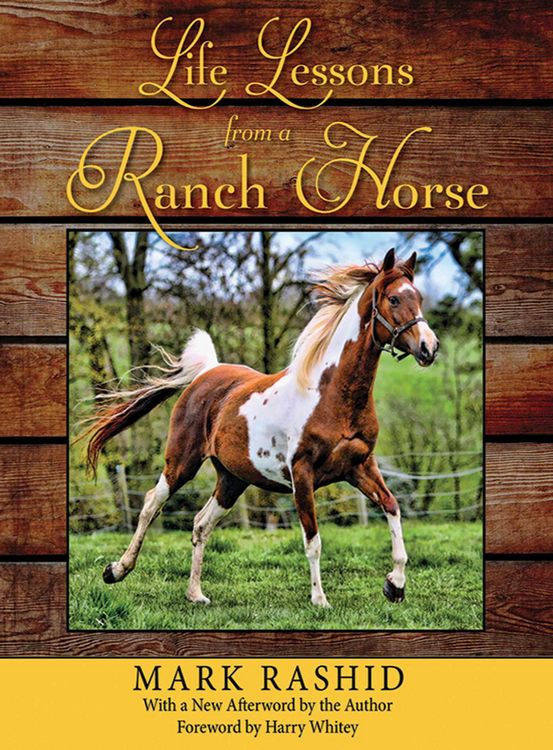 Produktbild: Life Lessons from a Ranch Horse