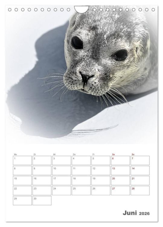 Produktbild: Texel - Momente die verzaubern (Wandkalender 2026 DIN A4 hoch), CALVENDO Monatskalender