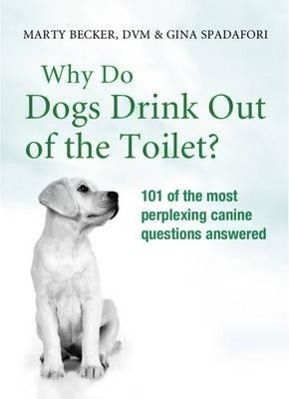 Produktbild: Why Do Dogs Drink Out Of The Toilet?