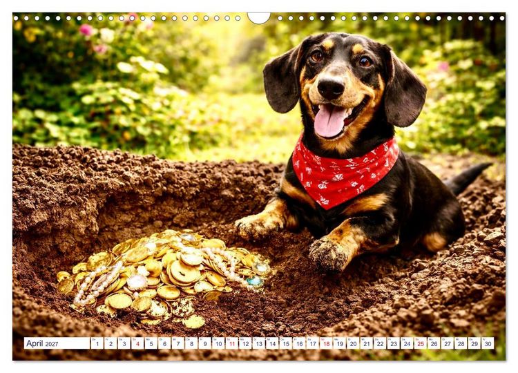 Produktbild: Wovon Hunde tr&auml;umen (Wandkalender 2027 DIN A3 quer), CALVENDO Monatskalender