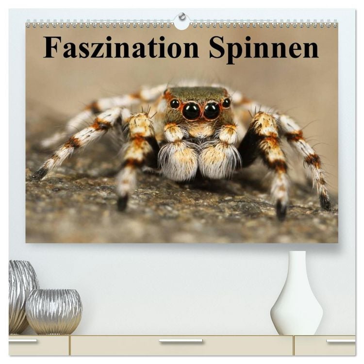 Produktbild: Faszination Spinnen (hochwertiger Premium Wandkalender 2026 DIN A2 quer), Kunstdruck in Hochglanz