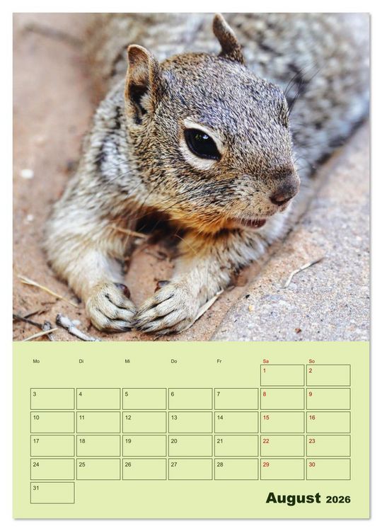 Produktbild: H&ouml;rnchen aus aller Welt (Wandkalender 2026 DIN A3 hoch), CALVENDO Monatskalender