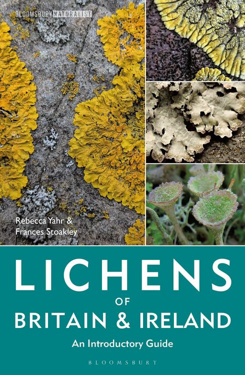 Produktbild: Lichens of Britain and Ireland