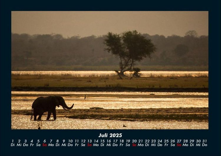 Produktbild: Der Elefantenkalender 2025 Fotokalender DIN A4