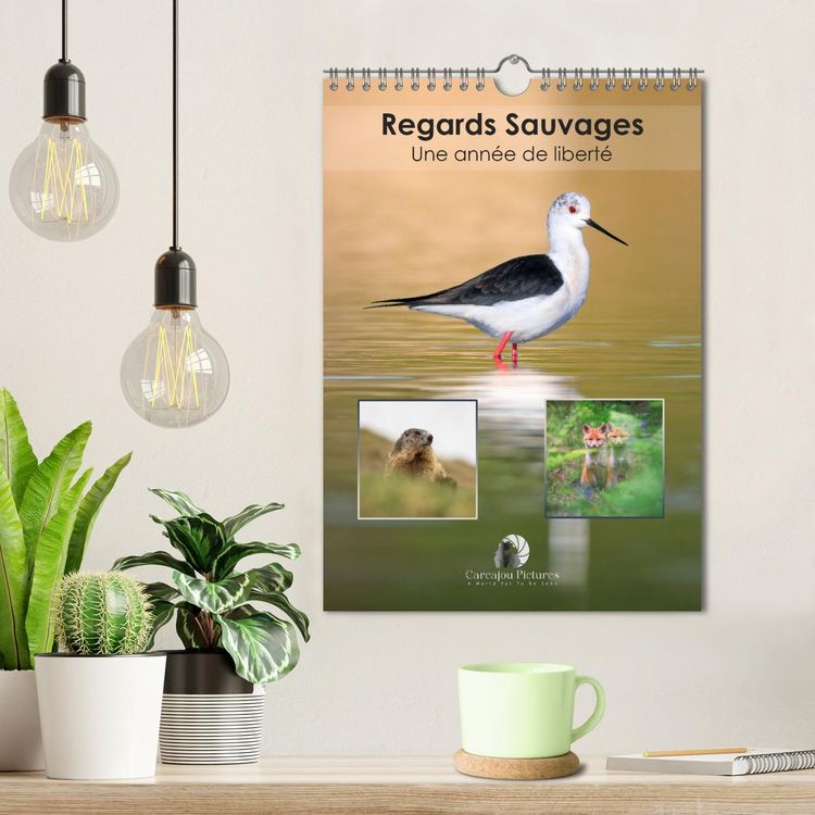 Produktbild: Regards sauvages - Une ann&eacute;e de libert&eacute; (Calendrier mural 2026 DIN A4 horizontal), CALVENDO calendrier mensuel